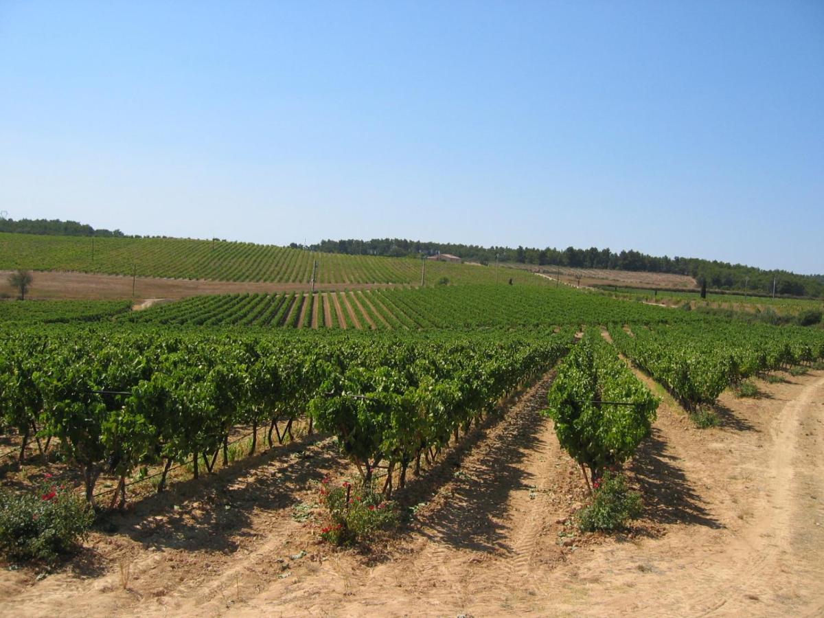Domaine Du Coffre Пертюи Экстерьер фото